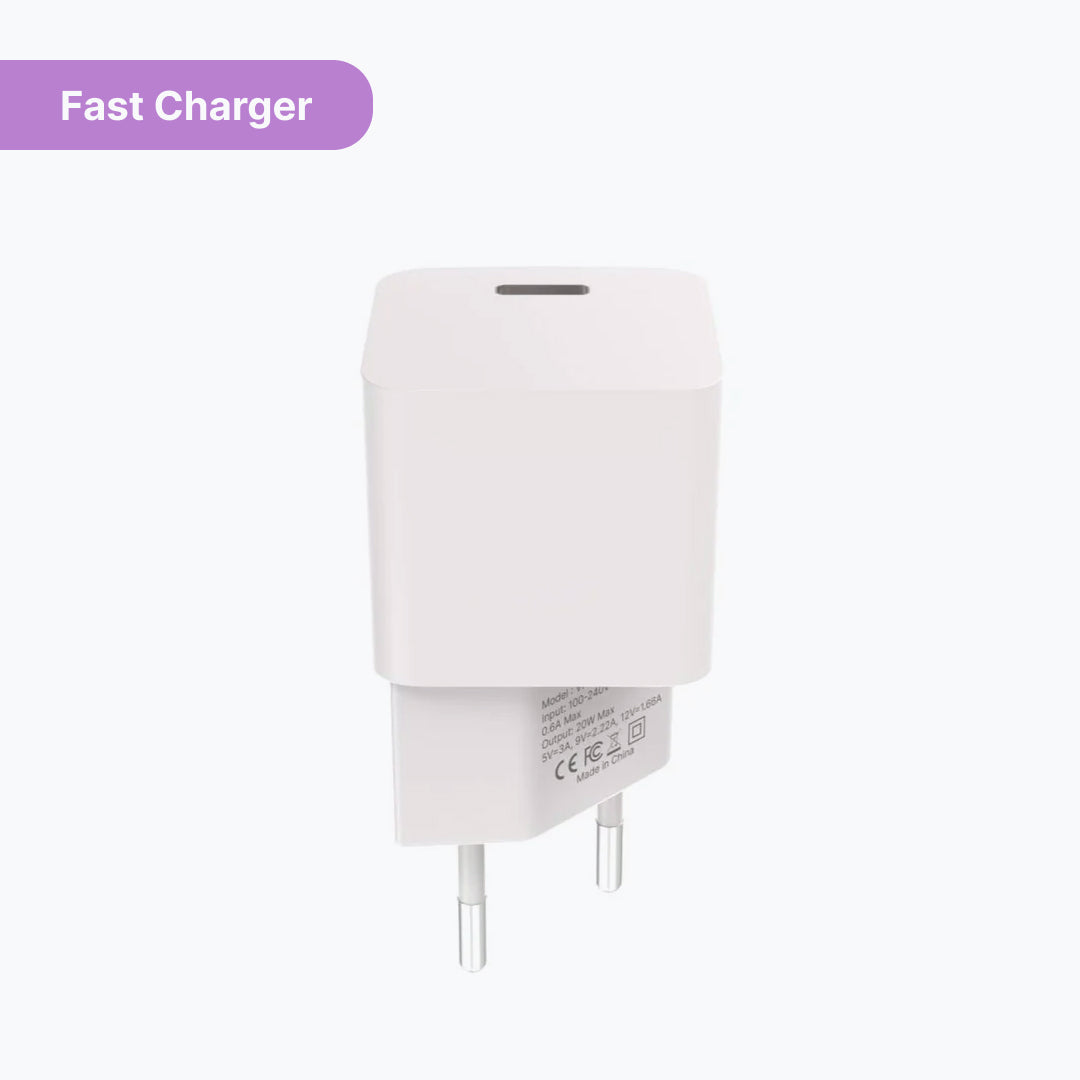 Caricabatterie rapido